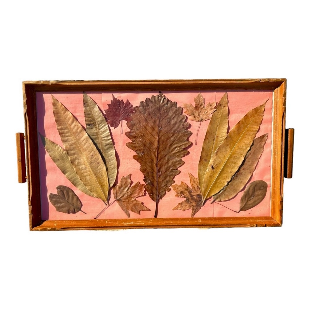 Vintage Wood Changeable Display Tray 20 x 11 inches